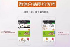 分销微商城+10种促销吸粉[www.aiapp.com]